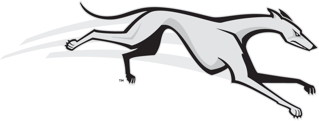 Loyola-Maryland Greyhounds 2002-2010 Partial Logo iron on paper